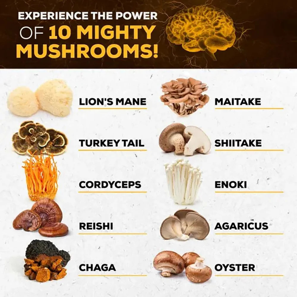 Mushroom Supplement